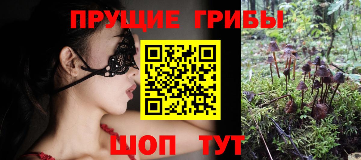 Галлюциногенные грибы Psilocybine cubensis  Галлюциногенные грибы ЛСД  Вход с VPN  Кореновск 